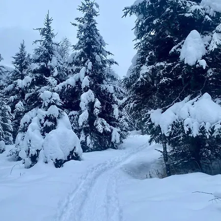 Bianca 2 By Smr - Inc And National Summercard - Near Gondola Appartamento *