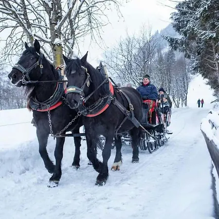 Bianca 2 By Smr - Inc And National Summercard - Near Gondola * Rauris