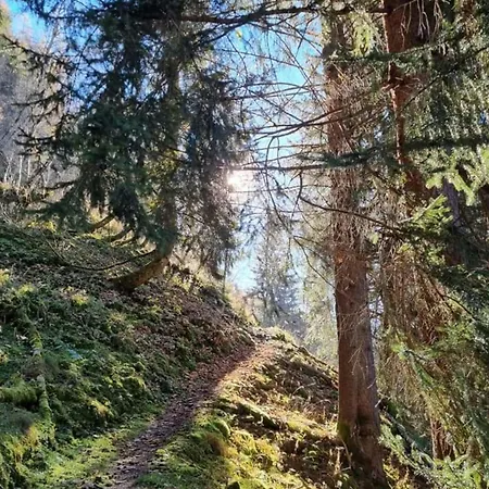 Bianca 2 By Smr - Inc And National Summercard - Near Gondola * Rauris